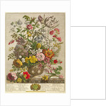 May by Pieter Casteels