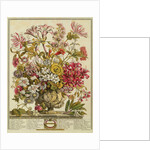 October by Pieter Casteels