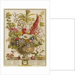 December by Pieter (after) Casteels