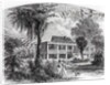 Planter's House on the Mississippi by American School