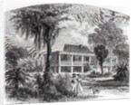 Planter's House on the Mississippi by American School