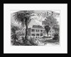 Planter's House on the Mississippi by American School