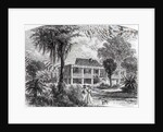 Planter's House on the Mississippi by American School