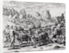 Pack Train of Llamas Laden with Silver from Potosi Mines of Peru, engraved by Theodore de Bry by Jacques Le Moyne