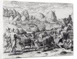 Pack Train of Llamas Laden with Silver from Potosi Mines of Peru, engraved by Theodore de Bry by Jacques Le Moyne