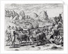 Pack Train of Llamas Laden with Silver from Potosi Mines of Peru, engraved by Theodore de Bry by Jacques Le Moyne