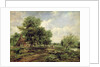 Wooded river landscape with a cottage and a horse drawn cart by Frederick Waters Watts