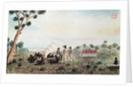 Mr White, Harris and Laing with a Party of Soldiers Visiting Botany Bay Colebee at that Place when Wounded near Botany Bay, c.1790 by Port Jackson Painter