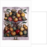 February by Pieter Casteels (after)