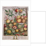 May by Pieter Casteels