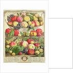 September by Pieter Casteels (after)