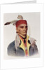 Shin-ga-ba W'Ossin or 'Image Stone', a Chippeway Chief, 1826 by James Otto Lewis