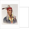 Shin-ga-ba W'Ossin or 'Image Stone', a Chippeway Chief, 1826 by James Otto Lewis