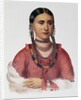 Hayne Hudjuhini or the 'Eagle of Delight' by Charles Bird King