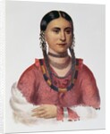 Hayne Hudjuhini or the 'Eagle of Delight' by Charles Bird King