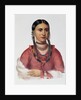 Hayne Hudjuhini or the 'Eagle of Delight' by Charles Bird King