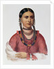 Hayne Hudjuhini or the 'Eagle of Delight' by Charles Bird King