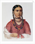 Hayne Hudjuhini or the 'Eagle of Delight' by Charles Bird King