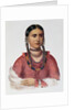 Hayne Hudjuhini or the 'Eagle of Delight' by Charles Bird King