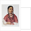Hayne Hudjuhini or the 'Eagle of Delight' by Charles Bird King