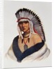Petalesharro, a Pawnee Brave by American School