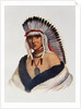 Petalesharro, a Pawnee Brave by American School
