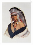 Petalesharro, a Pawnee Brave by American School