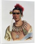 Ma-Has-Kah or 'White Cloud', an Iowa Chief by American School