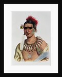 Ma-Has-Kah or 'White Cloud', an Iowa Chief by American School