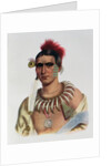 Ma-Has-Kah or 'White Cloud', an Iowa Chief by American School