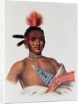 Moa-Na-Hon-Ga or 'Great Walker', an Iowa Chief, 1824 by Charles Bird King