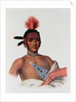 Moa-Na-Hon-Ga or 'Great Walker', an Iowa Chief, 1824 by Charles Bird King