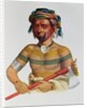Shau-Hau-Napo-Tinia, an Iowa Chief, 1837 by Charles Bird King