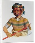Shau-Hau-Napo-Tinia, an Iowa Chief, 1837 by Charles Bird King