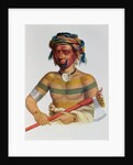 Shau-Hau-Napo-Tinia, an Iowa Chief, 1837 by Charles Bird King