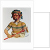 Shau-Hau-Napo-Tinia, an Iowa Chief, 1837 by Charles Bird King