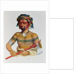 Shau-Hau-Napo-Tinia, an Iowa Chief, 1837 by Charles Bird King