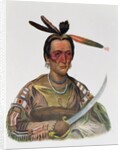 To-Ka-Cou, a Yankton Sioux Chief, 1837 by George Cooke