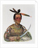 To-Ka-Cou, a Yankton Sioux Chief, 1837 by George Cooke