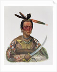 To-Ka-Cou, a Yankton Sioux Chief, 1837 by George Cooke