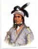 Opothle-Yoholo, a Creek Chief, 1825 by Charles Bird King