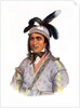 Opothle-Yoholo, a Creek Chief, 1825 by Charles Bird King