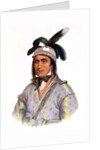 Opothle-Yoholo, a Creek Chief, 1825 by Charles Bird King