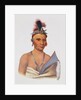 Keesheswa or 'the Sun', a Fox Chief, c.1837 by Charles Bird King