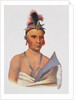 Keesheswa or 'the Sun', a Fox Chief, c.1837 by Charles Bird King
