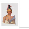Keesheswa or 'the Sun', a Fox Chief, c.1837 by Charles Bird King