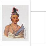 Keesheswa or 'the Sun', a Fox Chief, c.1837 by Charles Bird King