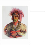 Nowaykesugga, an Otto by Charles Bird King