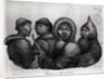 Inhabitants of the Gulf of Kotzebue by Ludwig Choris