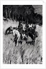 Early Pioneers on the Blue Ridge by Frederic Remington (after)